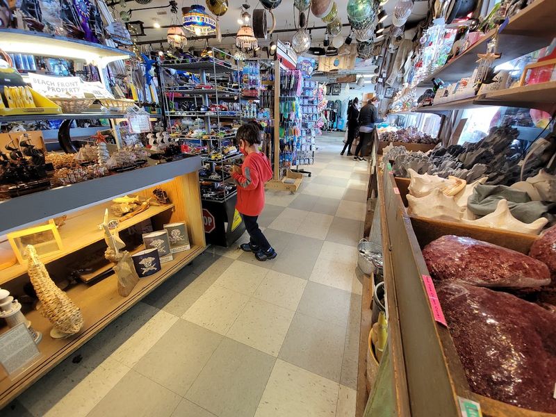 A Gift Shop Packed With Something for Everyone