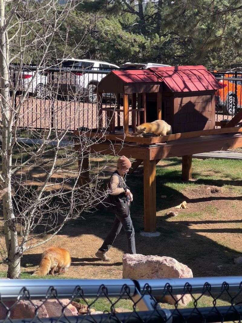 A Gift Shop That Supports the Animals