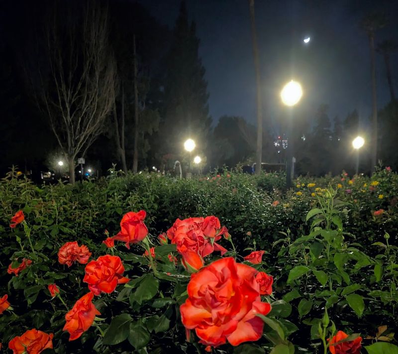 A Great Spot for an After-Dinner Evening Stroll