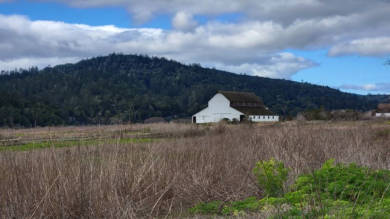 A Haven for Artists, Writers, and Creative Souls