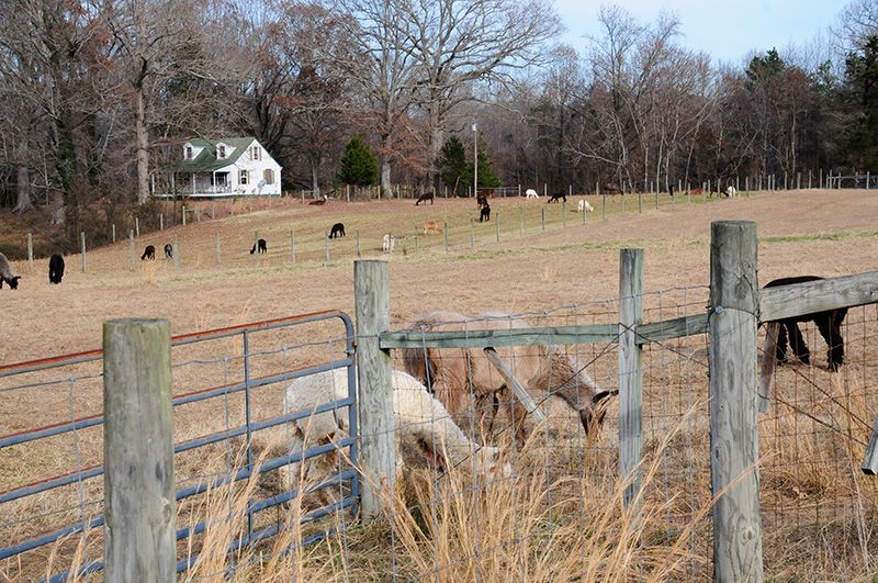 A Hidden Gem in Southern Maryland A Hidden Gem in Southern Maryland