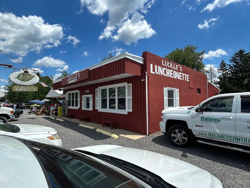A Hidden Gem in the Pine Barrens