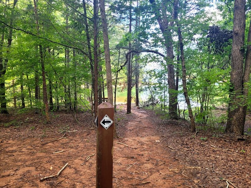 A Hidden Hiking Trail That Leads to a Stunning Cove A Hidden Hiking Trail That Leads to a Stunning Cove