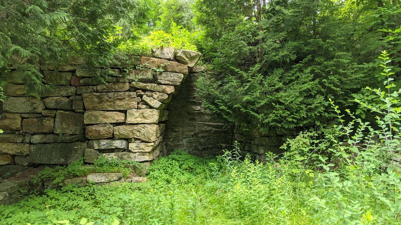 A Historic Cemetery Hidden in the Forest