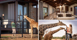 A Hotel on A Giraffe Barn in Texas Is One of the Coolest Places to Spend the Night