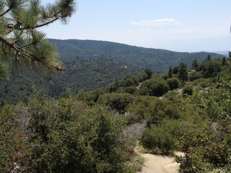 A Journey Through Two Completely Different Ecosystems