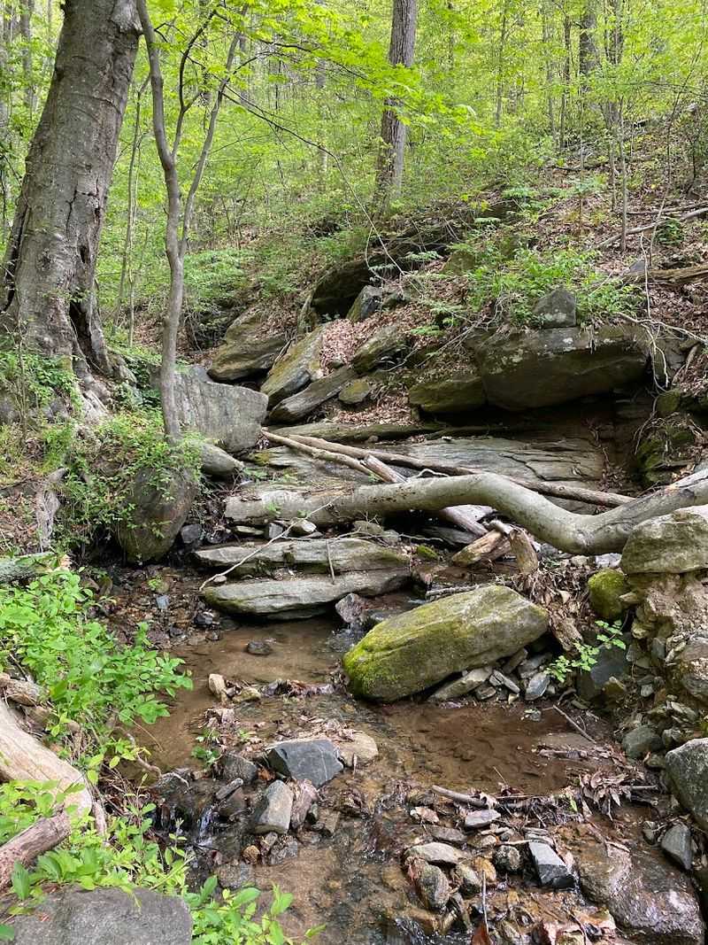 A Kid-Friendly Adventure With Real Excitement Built In