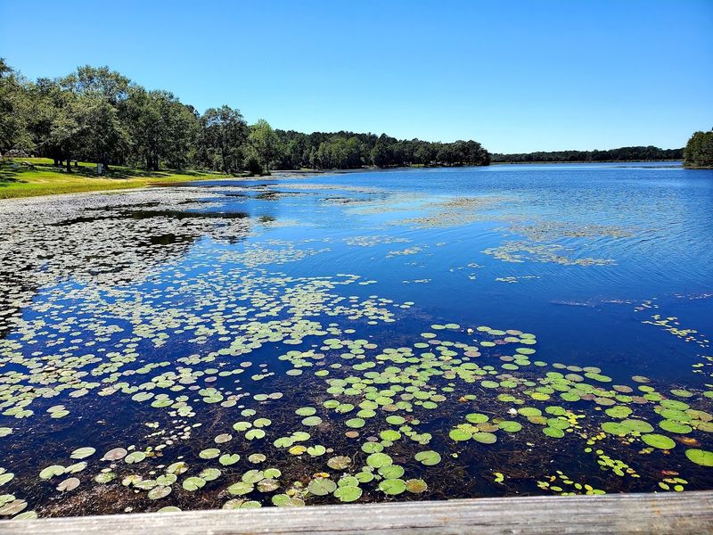 A Lake That Feels Like It Was Made for Fishing