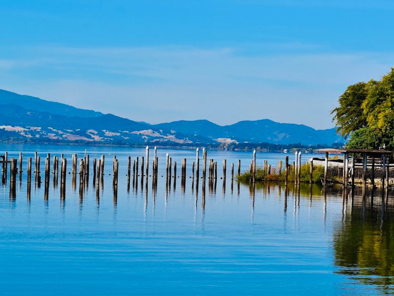 A Living Laboratory for Scientists and Nature Enthusiasts Alike