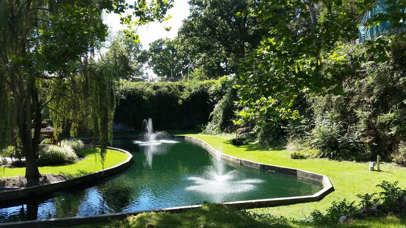 A Magical Spot for Reading, Studying, or Just Unwinding A Magical Spot for Reading, Studying, or Just Unwinding