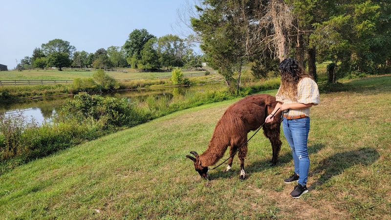 A Mindful, Stress-Relieving Outing