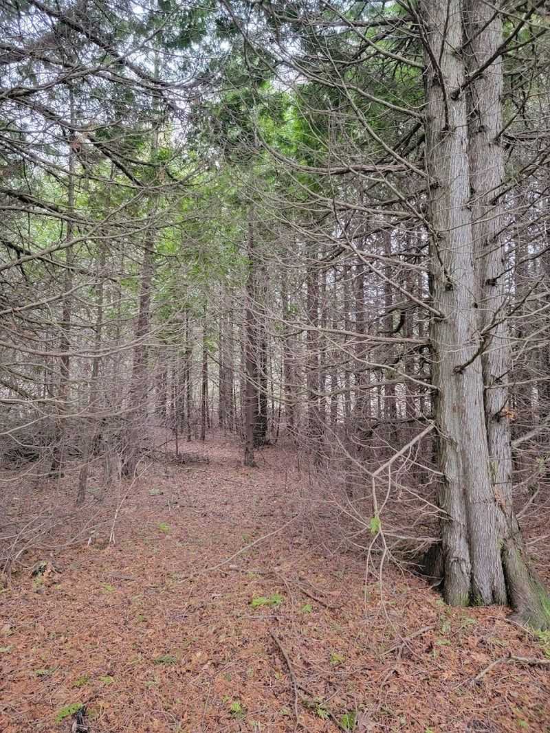 A Mix of Ecosystems Found Nowhere Else Nearby A Mix of Ecosystems Found Nowhere Else Nearby