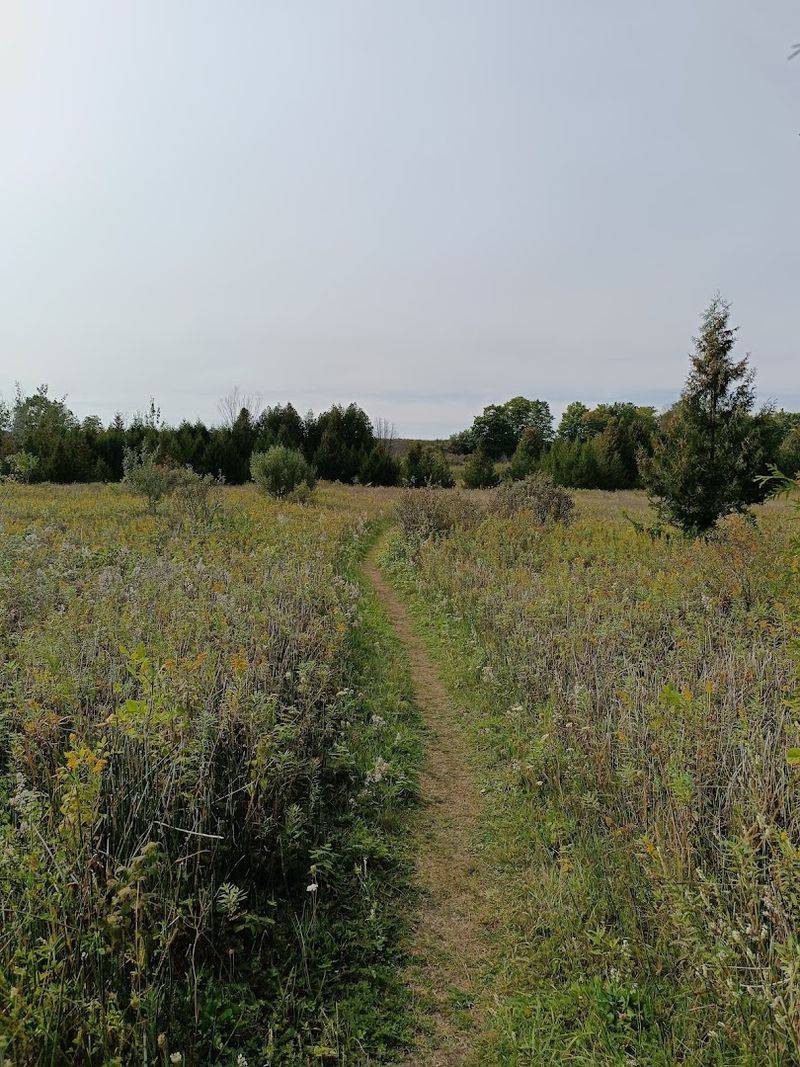 A Mix of Habitats That Keeps the Trail Interesting