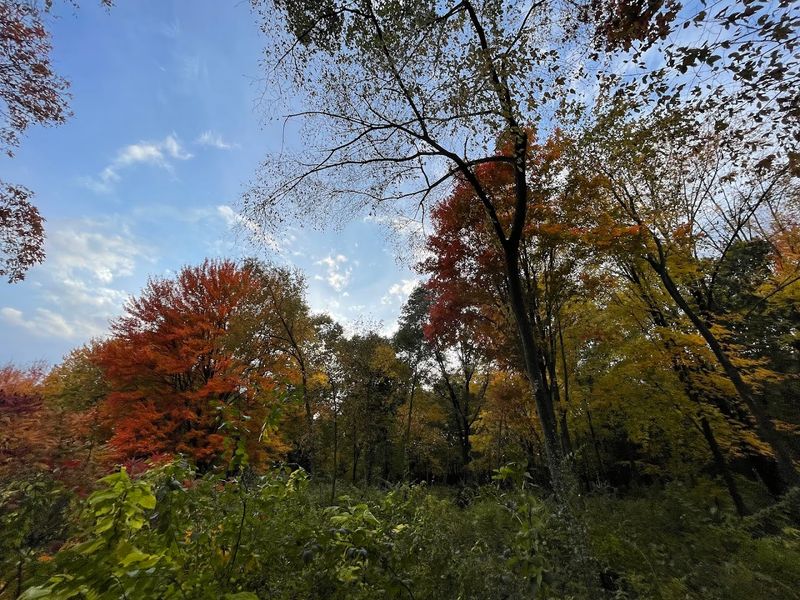 A Mosaic of Habitats All in One Place A Mosaic of Habitats All in One Place