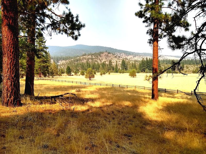 A Mountain Town With Genuine High Desert Charm