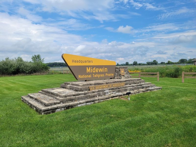 A National Forest Hidden Just an Hour from Chicago A National Forest Hidden Just an Hour from Chicago