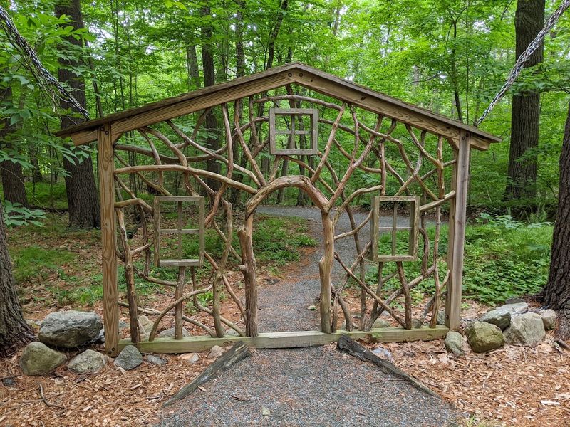 A Natural Playground That Blends Into the Forest