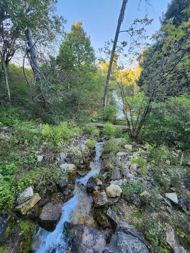 A Natural Spring Hidden in the Woods A Natural Spring Hidden in the Woods