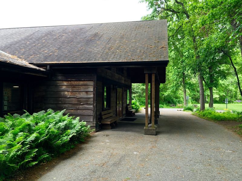 A Nature Center Built for Curious Minds A Nature Center Built for Curious Minds