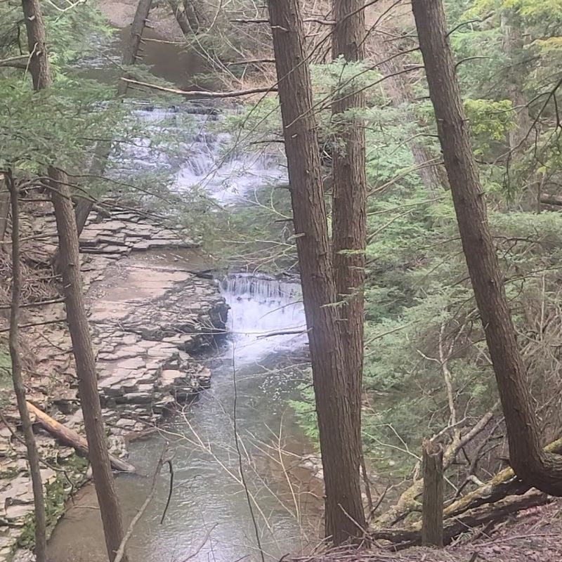 A Newly Built Bridge That Changed the Whole Trail Experience