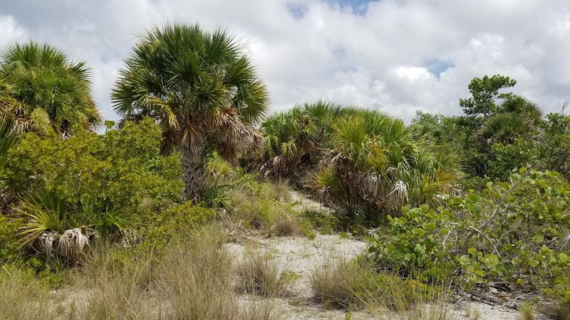 A Park That's Recovering and Resilient A Park That's Recovering and Resilient