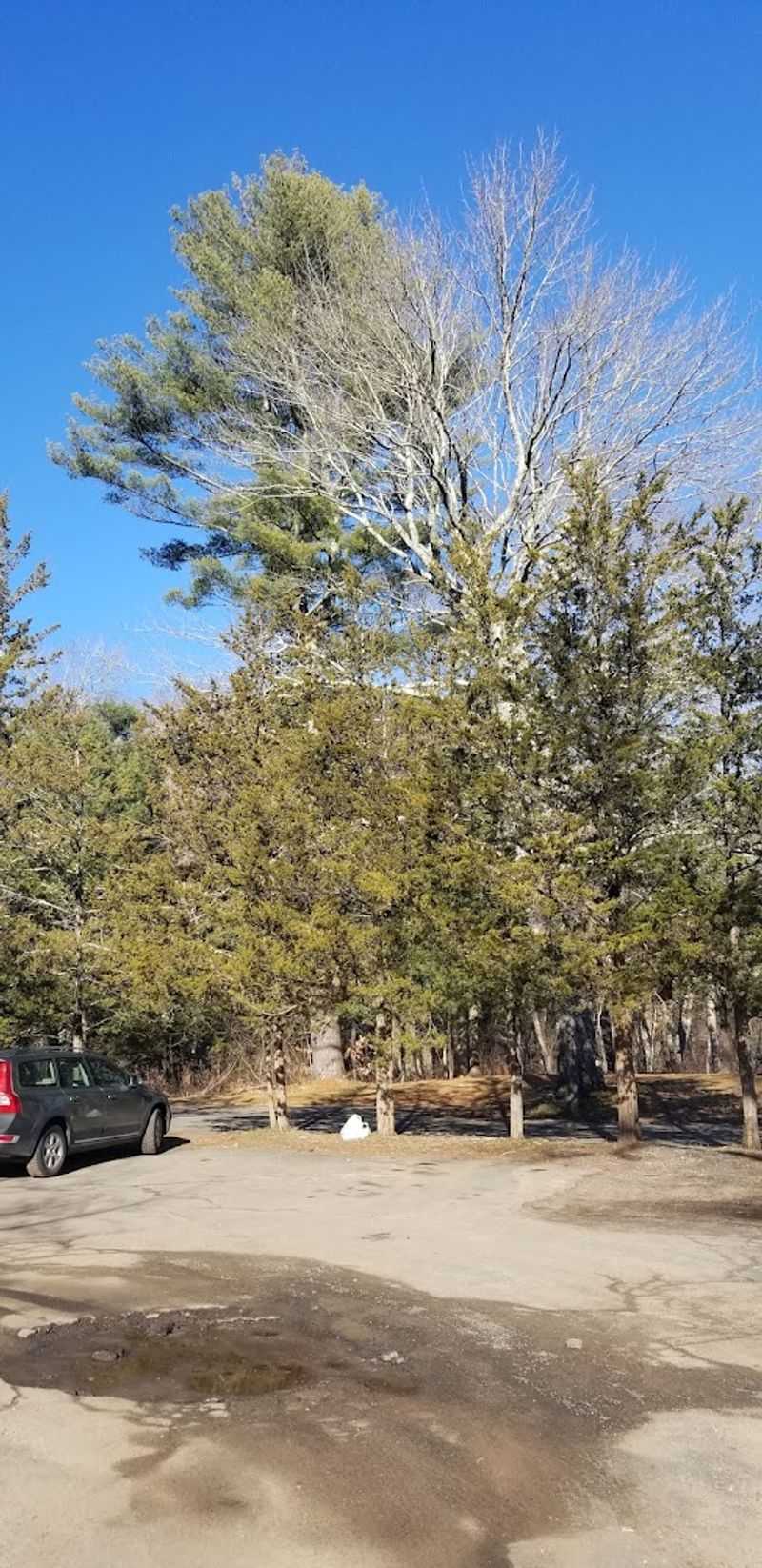 A Parking Situation That Actually Works A Parking Situation That Actually Works