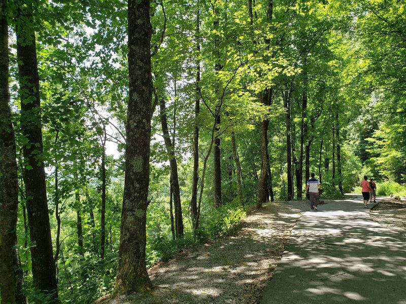 A Paved Half-Mile Path That Almost Anyone Can Handle A Paved Half-Mile Path That Almost Anyone Can Handle