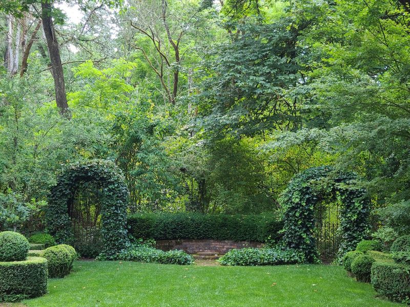 A Peaceful Escape Within the City