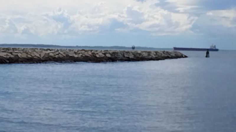 A Peaceful Spot to Watch Ships and Wildlife