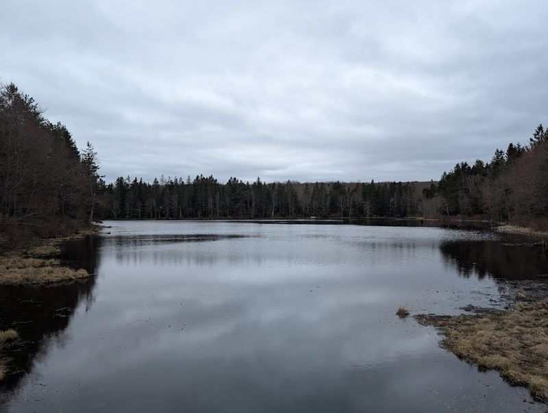 A Peaceful Winter Wonderland Unlike Anything Nearby A Peaceful Winter Wonderland Unlike Anything Nearby