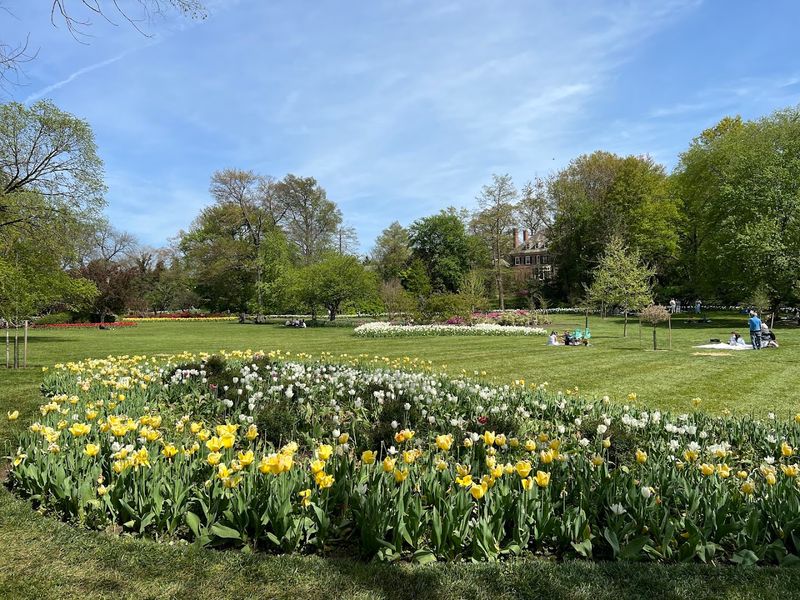 A Perfect Spot for Picnics and Relaxing Outdoors A Perfect Spot for Picnics and Relaxing Outdoors