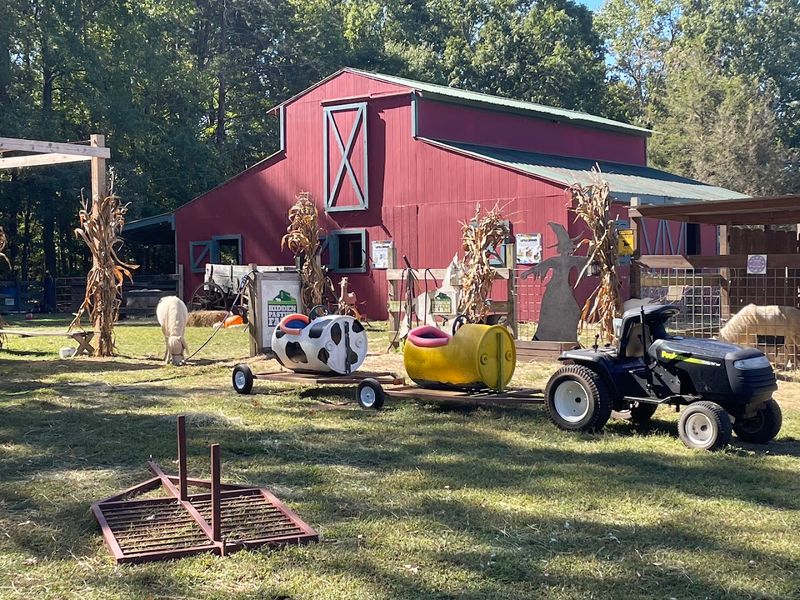A Petting Zoo Packed With Adorable Farm Animals A Petting Zoo Packed With Adorable Farm Animals