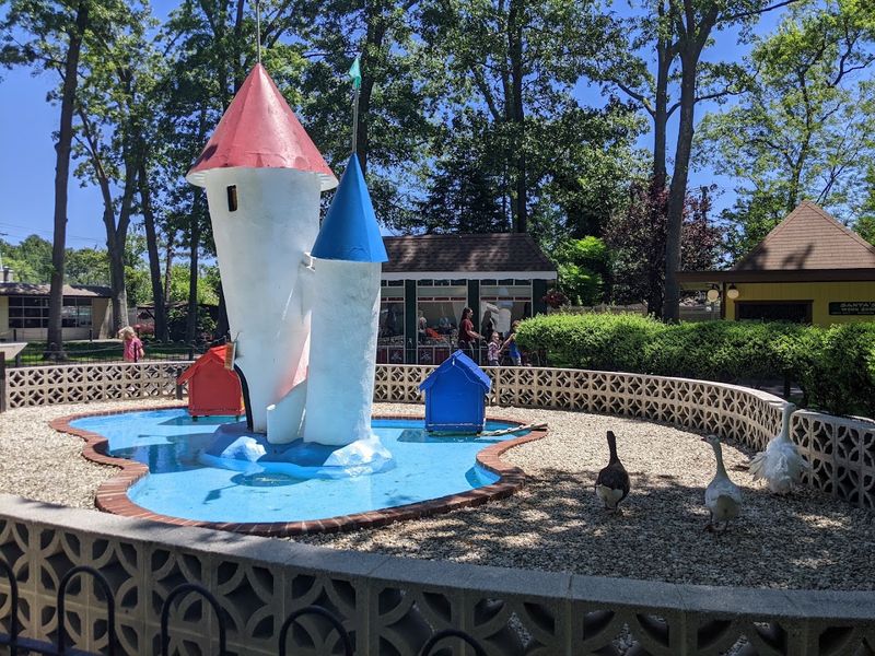 A Petting Zoo That Brings Kids Face-to-Face With Real Animals