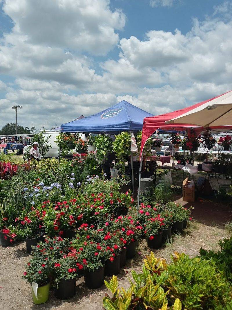 A Plant Lover's Paradise With Unbeatable Prices A Plant Lover's Paradise With Unbeatable Prices