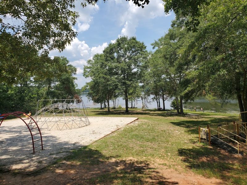 A Playground Where Kids Can Run Wild