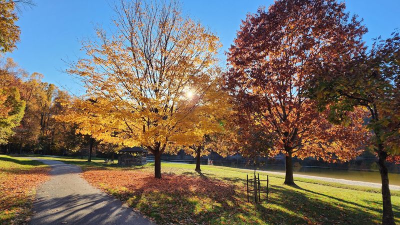 A Playground and Stroller-Friendly Paths for Younger Visitors