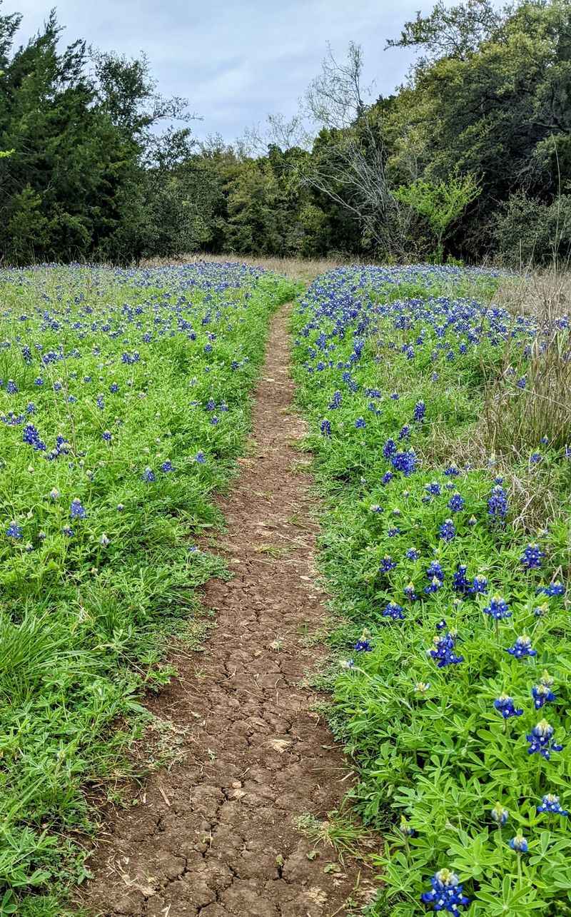 A Quick Look at the Trail Length and Difficulty
