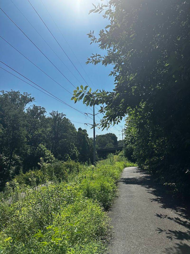 A Relaxing Nature Walk Experience