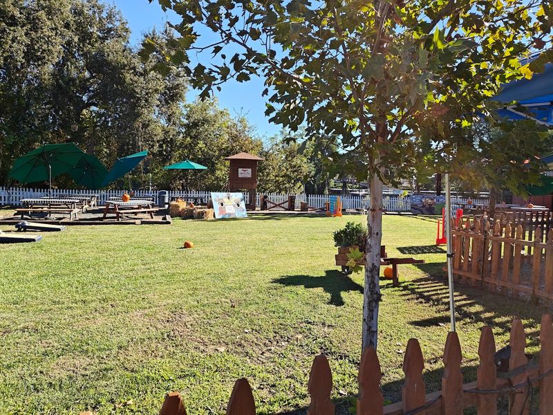 A Relaxing Picnic Area to Unwind After the Ride A Relaxing Picnic Area to Unwind After the Ride