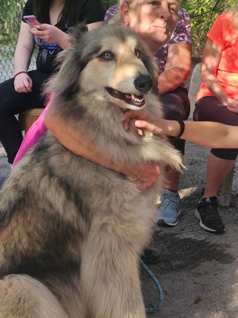 A Rescue Mission Unlike Any Other