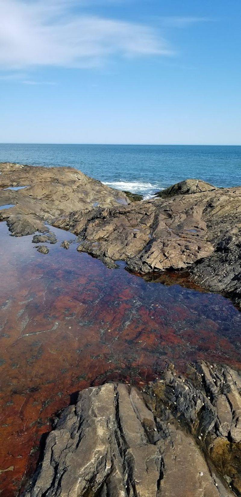 A Rocky Shoreline That Tells a Story A Rocky Shoreline That Tells a Story
