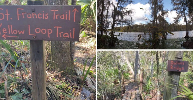 A Scenic 8 Mile Trail in Florida Hides A Ghost Town That Time Forgot