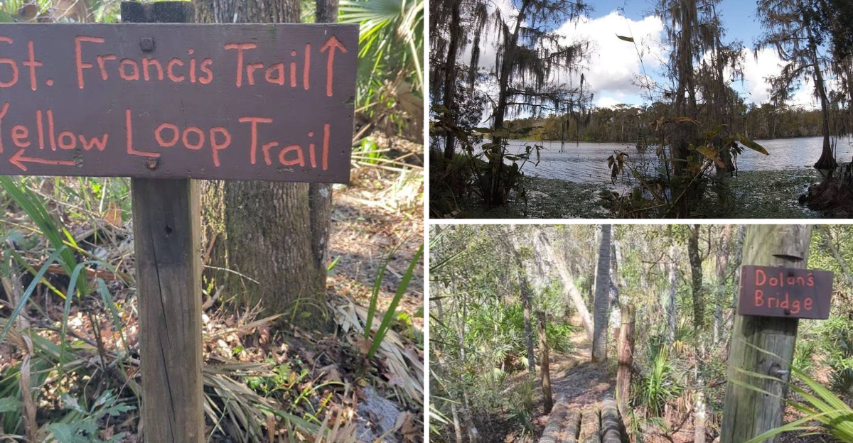 A Scenic 8 Mile Trail in Florida Hides A Ghost Town That Time Forgot