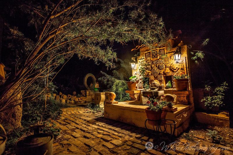 A Shaded Garden That Feels Like a Secret World