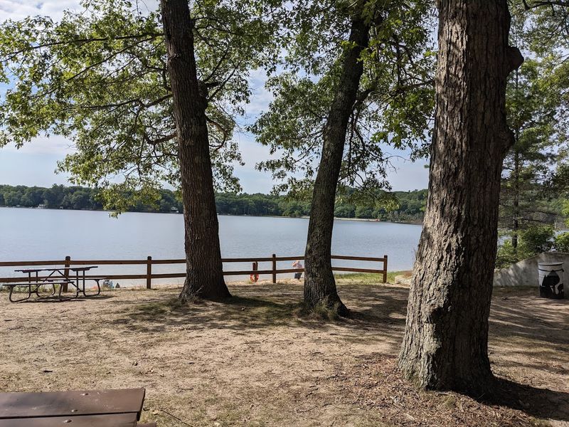 A Shaded Picnic Area Perfect for Family Gatherings