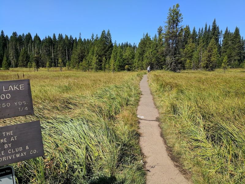 A Shockingly Easy Walk To Reach It