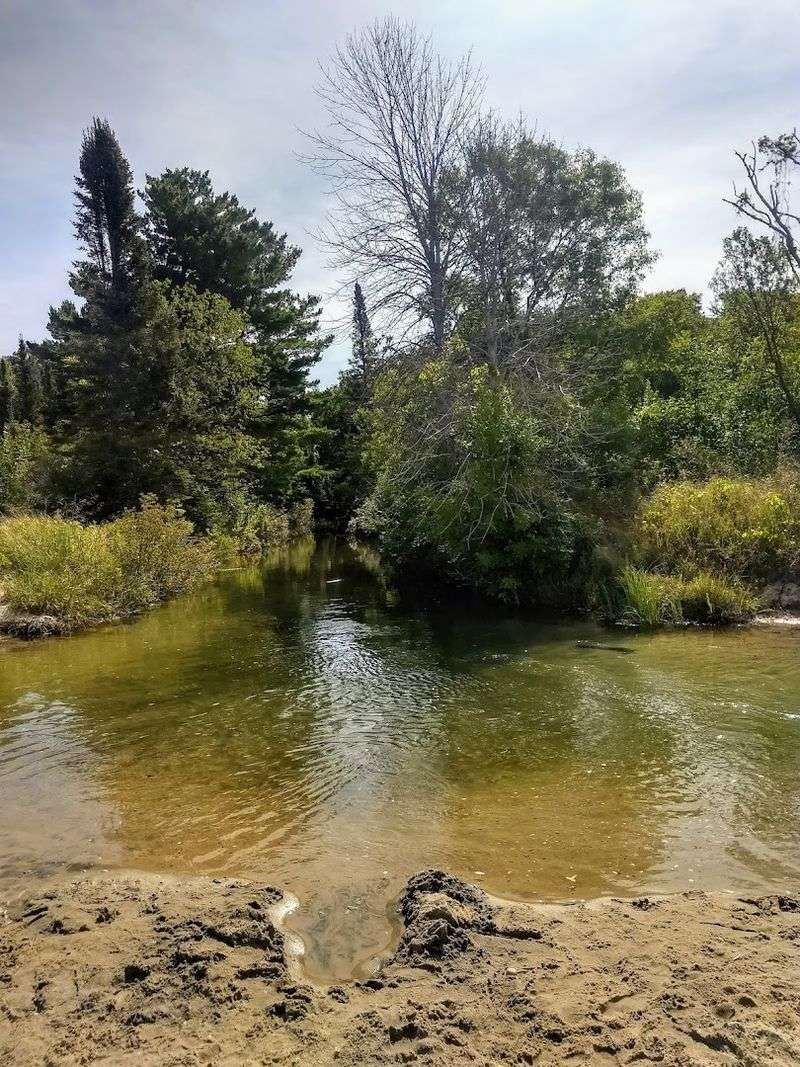 A Small Creek Perfect for Exploring