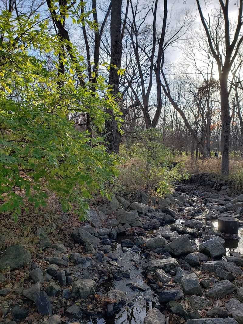 A Small Creek That Kids Absolutely Cannot Resist