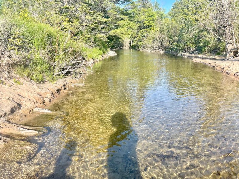 A Small Shallow Creek For Kids To Explore And Play In