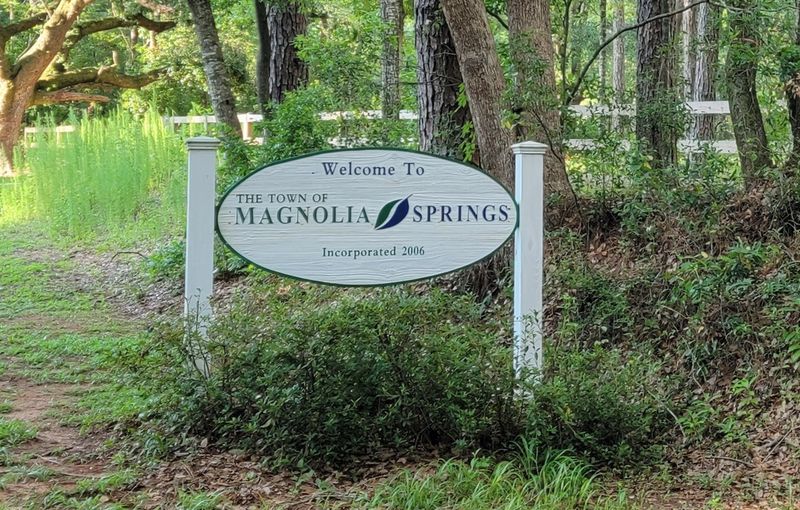 A Small Town That Voted to Be Its Own Boss A Small Town That Voted to Be Its Own Boss